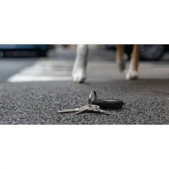 Belkin Secure Holder with Key Ring for AirTag image {4}