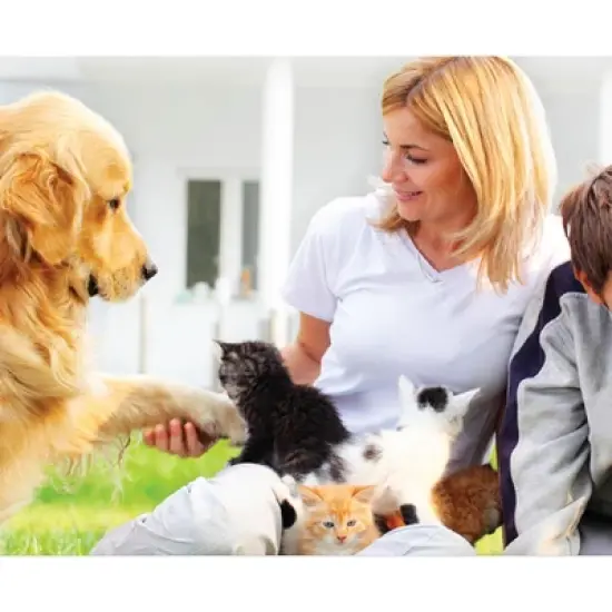 Nok-Out Premium Grade Pet Shampoo for Dogs and Cats, Veterinary Strength and Odor Eliminator Formula, 20 Ounces image {2}