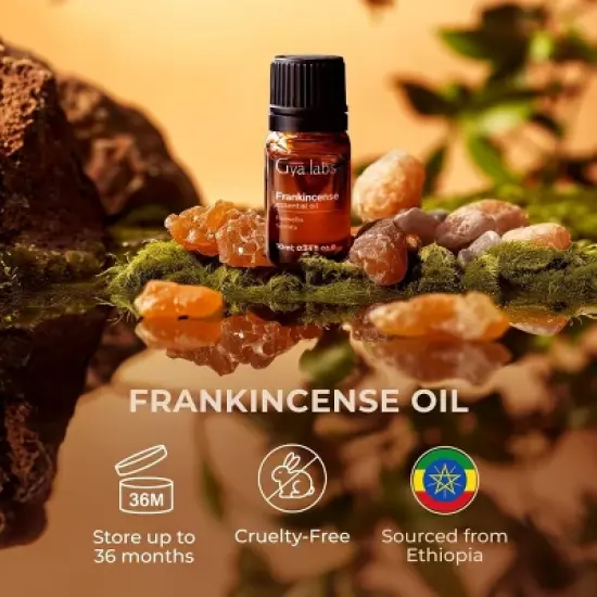 Gya Labs Frankincense Essential Oil for Face - 0.34 Fl Oz - Frankincense Oil for Skin, Body Massages & Candle Making Scent image {3}