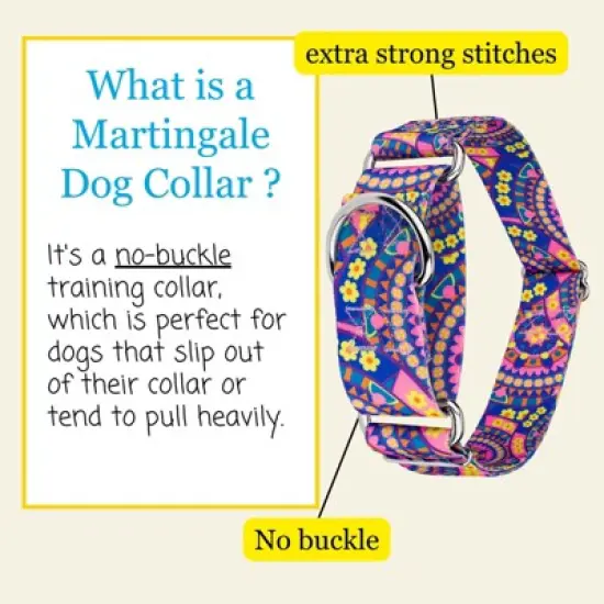 Country Brook Petz HossFit Jr Wide Martingale Dog Collar - Groovy Collection image {2}