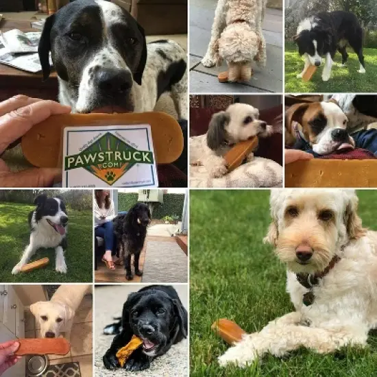 Pawstruck Himalayan Yak Dog Chew Natural Yak & Cow Milk / Cheese Long-Lasting, Jumbo Treat for Dogs, Best XL Thick Chew Stick image {4}