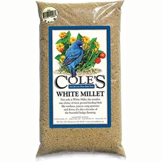 Cole's White Millet Wild Bird Seed image {2}