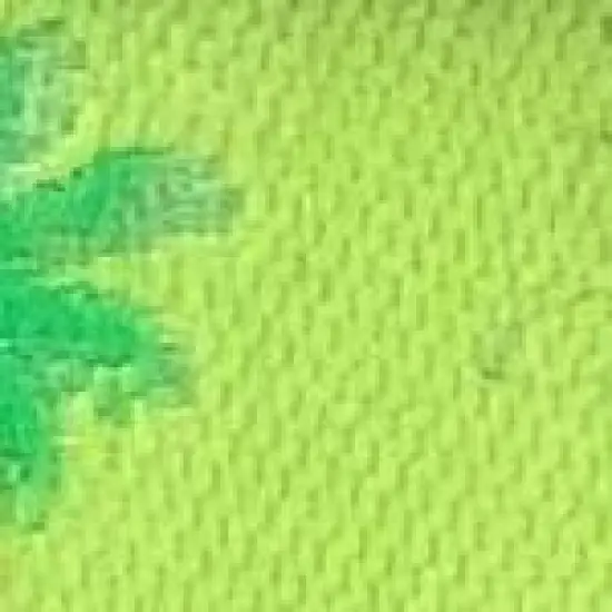 The Worthy Dog Flamingos Dog Collar image {2}