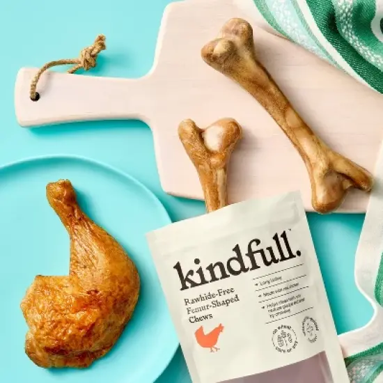 Rawhide-Free Femur-Shaped Dog Treats Chicken Flavor - 9oz/2ct - Kindfull&trade; image {1}