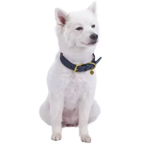 Blueberry Pet Polyester and Leather Dog Collar image {3}