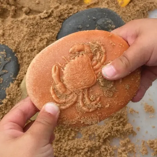 Yellow Door Let's Investigate - Seashore - Set of 8 Stones image {4}