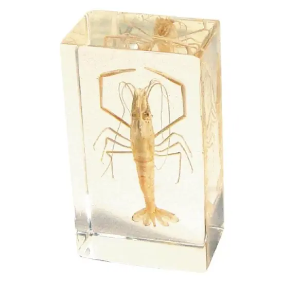 Kaplan Early Learning Animal & Plant Specimen Sets image {4}