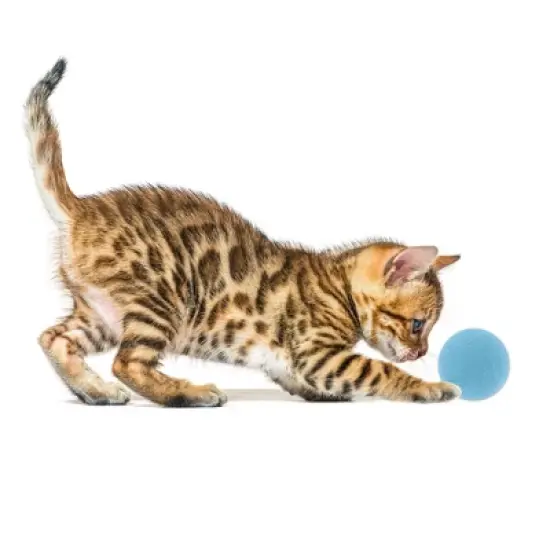 Unique Bargains Cat Playing Ball with Bell 1 Pc image {2}