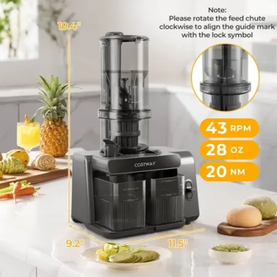 Costway Cold Press Juicer Machine Professional Slow Masticating Juicer with Reverse Button image {2}