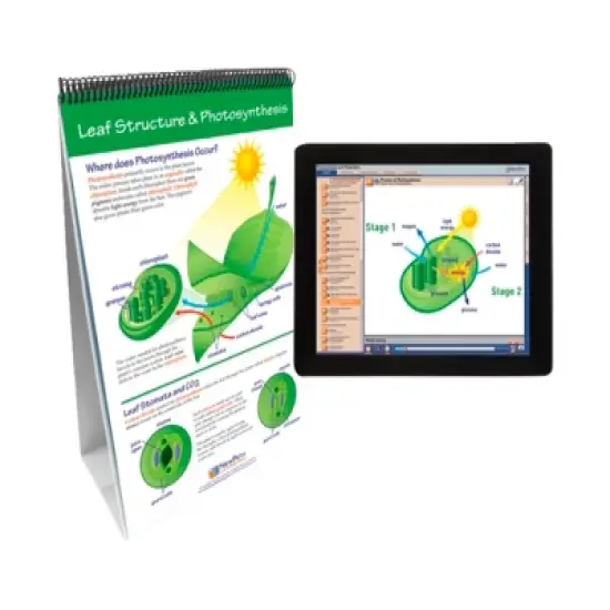 NewPath Learning Photosynthesis & Cellular Respiration Flip Chart and Online Multimedia Lesson image {1}