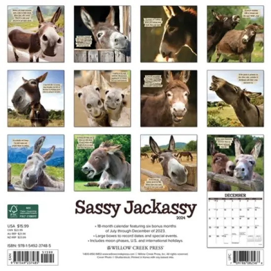 Willow Creek Press 2024 Wall Calendar 12"x12" Sassy Jackassy image {1}