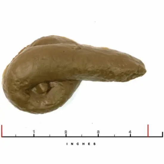 Skeleteen Realistic Fake Poo - for Gags and Pranks - Novelty Joke Plastic Toy for Halloween or April Fool's - Looks Real - 4.5" Long image {4}