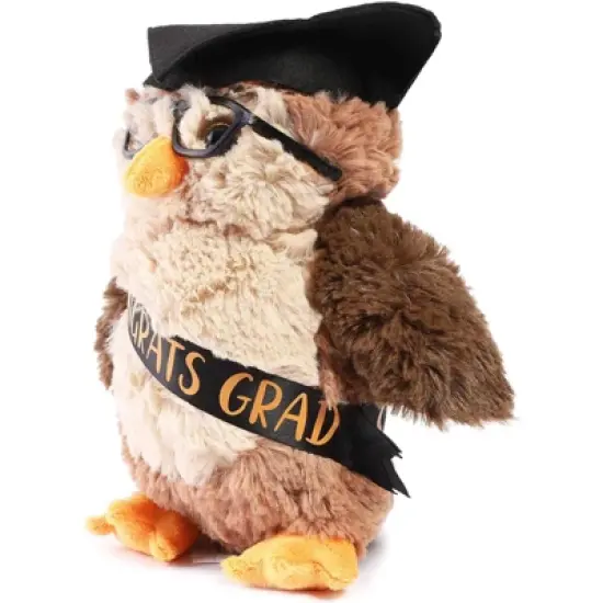 Blue Panda Class of 2023 Graduation Owl Plush, Stuffed Animal Gift with Glasses & Grad Cap, Brown, 9.2 in image {4}