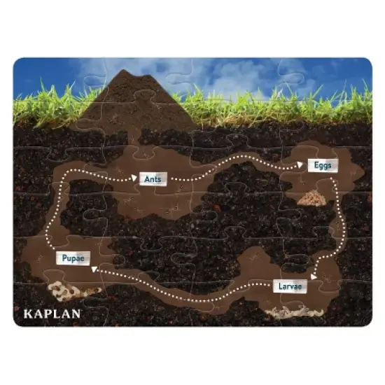 Kaplan Early Learning STEM Learning Life Cycle Floor Puzzle from Egg to Ant - 24 Pieces image {2}