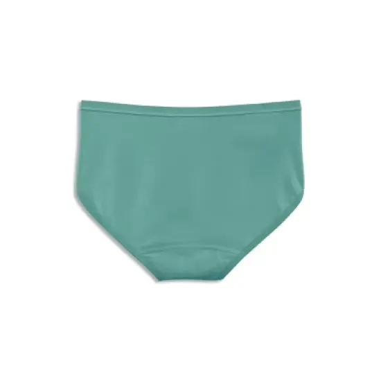 Jockey Women's Worry Free Cotton Stretch Moderate Absorbency Hipster image {6}