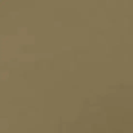 Flying Fisherman Windley Polarized Sunglasses image {2}