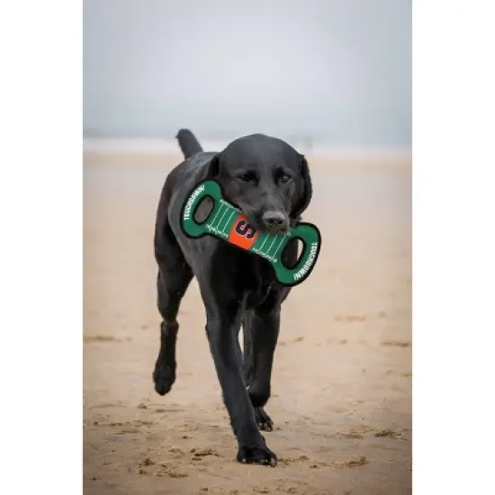 NCAA Syracuse Orange Football Field Dog Toy image {1}