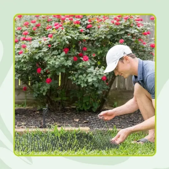 Homarden Anti-Digging Cat & Dog Prickle Strips, Cat Repellent Outdoor - Set of 6 image {1}