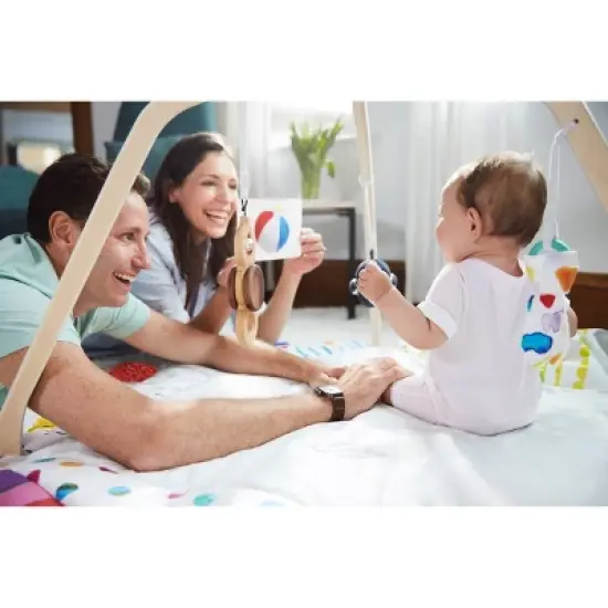 Lovevery The Play Gym image {8}