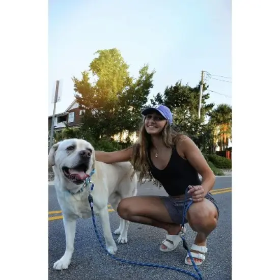 Black Rhino Tactical Neoprene Padded Dog Collars, Large, Sport Blue image {2}