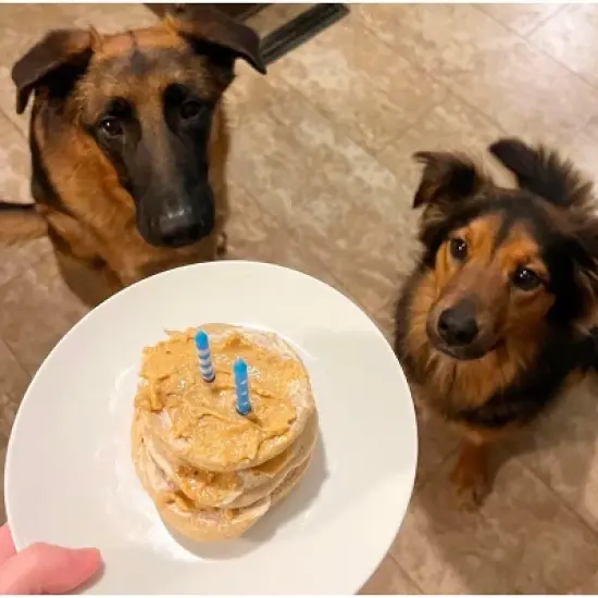 Carrot Cake Pooch Pancakes (14oz) image {7}