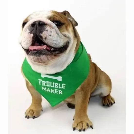 Parisian Pet 'Trouble Maker' Bandana for Dogs & Cats - Fun, Comfortable, Trendy Green Pet Fashion Accessory-Saint Patrick's Day image {2}