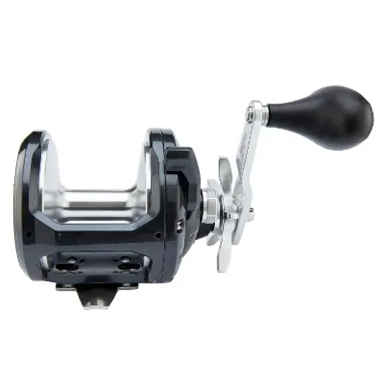 SHIMANO Torium 20PGA Star Drag image {3}