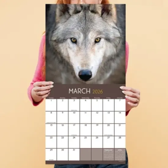 TF Publishing 13.5"x14.5" 2026 Wolves Wall Calendar image {3}