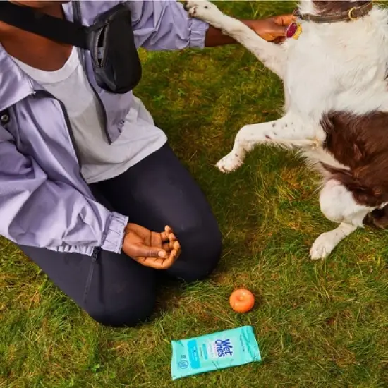 Wet Ones Sensitive Skin Hand Wipes Travel Pack - Fragrance Free - 20ct image {2}