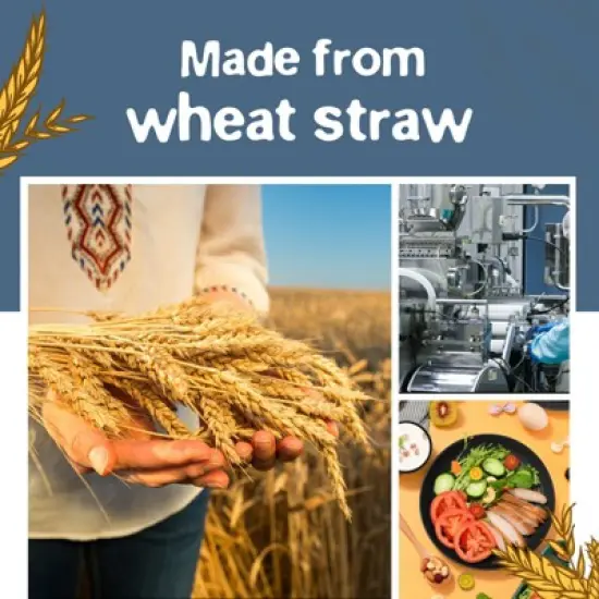 Itopfox 80-Piece Kitchen Plastic Wheat Straw Dinnerware Set, Includes Plates, Cups & Flatware, Dishwasher Safe, Unbreakable for Outdoor Use, Black image {6}