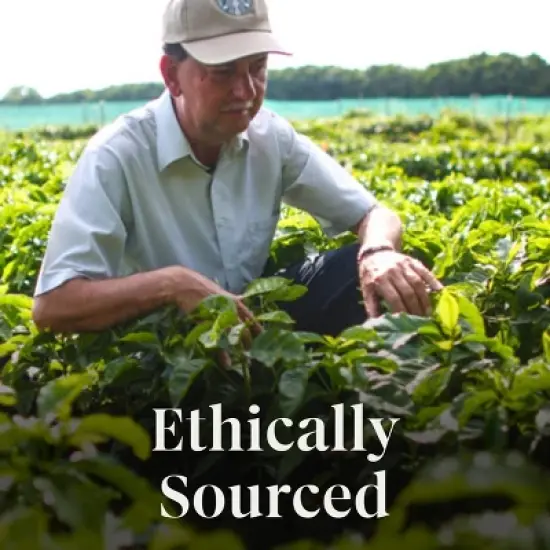 Starbucks Peppermint Mocha Light Roast Keurig K-Cup Coffee Pods - 22ct image {10}