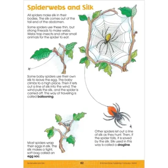 School Zone Big Science 2-3 Workbook - (Paperback) image {4}