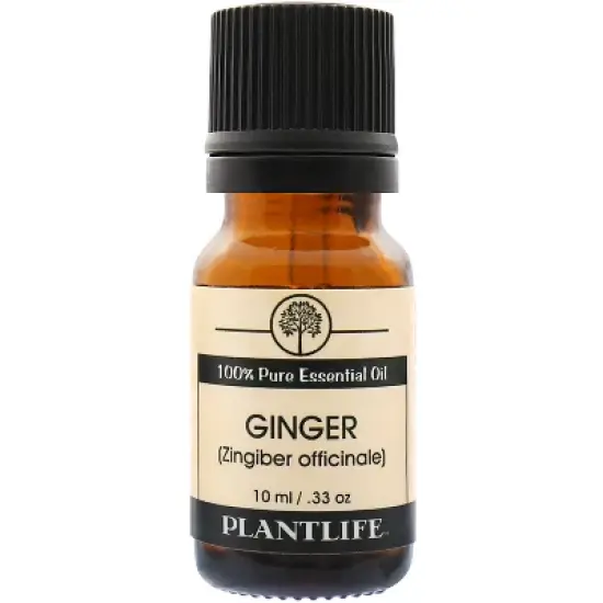 Plantlife Ginger Essential Oil &ndash; 100% Pure & Therapeutic Grade &ndash; Natural, Undiluted & Steam-Distilled &ndash; No Additives or Fillers &ndash; 10ml Aromatherapy image {3}
