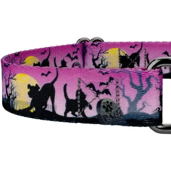 Country Brook Petz Graveyard Gunmetal Martingale Dog Collar (1 Inch, Extra Large) image {3}
