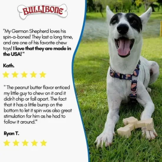 Bullibone Spinabone Dog Chew Toy image {6}