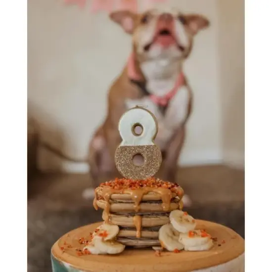 Barkin Banana Pooch Pancakes (14oz) image {2}