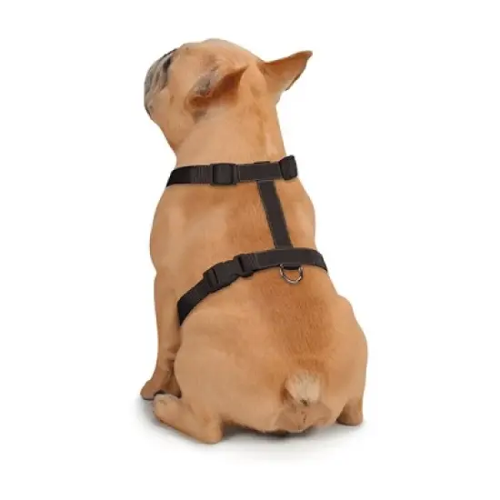 Zack & Zoey Butterfly Glow Harness Costume for Dogs image {2}