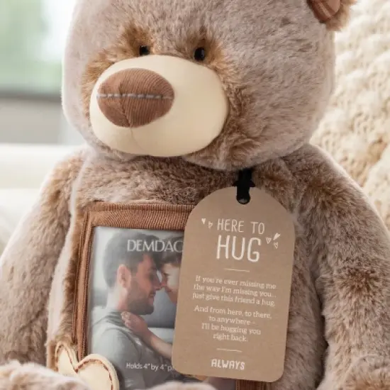 DEMDACO Here to Hug Bear image {6}