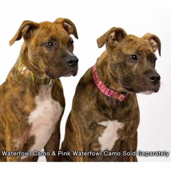 Country Brook Petz Premium Pink Waterfowl Camo Dog Collar image {2}