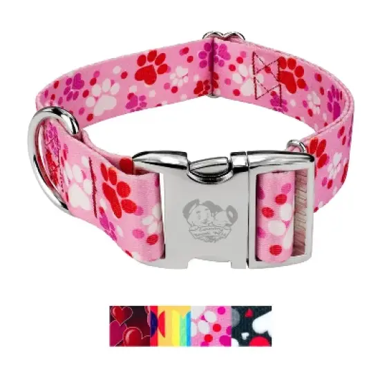 Country Brook Petz HossFit Jr Wide Premium Dog Collar - Affection Collection image {4}