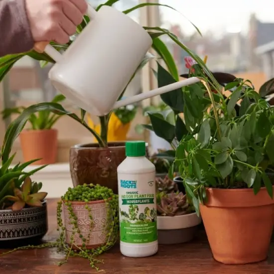 Back to the Roots All Purpose Plant Food 1.5lb image {9}