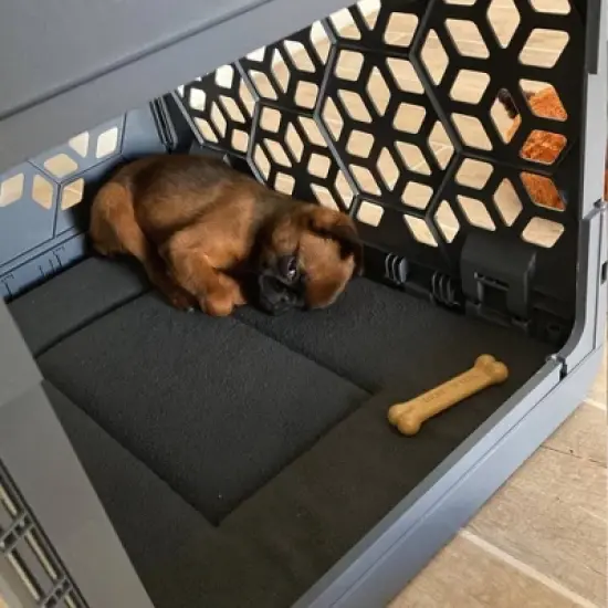 KindTail PAWD Cat and Dog Crate Pad image {1}