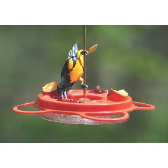 Birds Choice Oriolefest Oriole Feeder 12oz image {3}