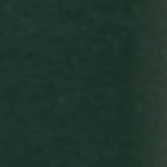 Vickerman Single Mold Wide Angle LED Christmas light set 6"x35'L image {2}