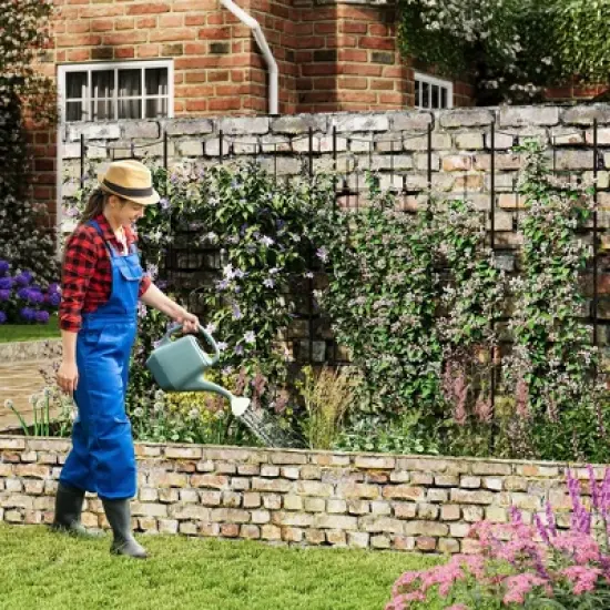 Elegant 2 Rack Baroque Iron Trellis for Climbing Plants, 1.6FT Tall Rustproof Garden Support for Roses, Vegetables, and Indoor Potted Plants image {6}