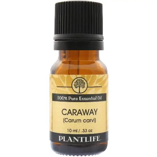 Plantlife Caraway Aromatherapy Essential Oil &ndash; 100% Pure, Therapeutic Grade, No Additives or Fillers, 10 ml image {2}