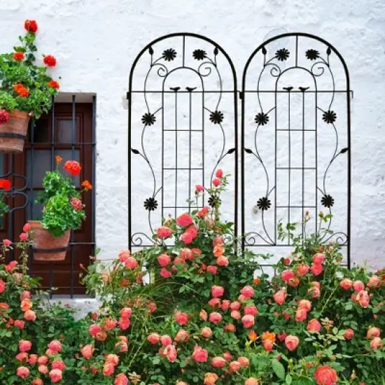 Syemin Patio Decorative Screens, Iron Arch Decoration Garden Trellis, for Outdoor for Climbing Plants Support, Flowerbed, Black, 40"*19.7"*86.7" image {1}