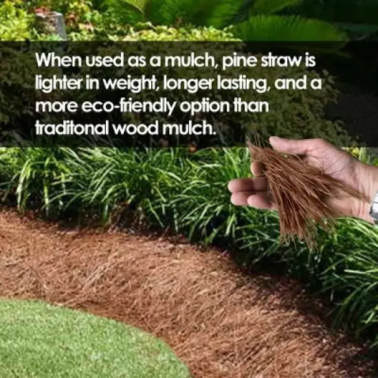 Garden Elements Long Leaf Pine Straw Bale for Mulch, Soil Amendment and Fall Decoration, 24.5" image {4}