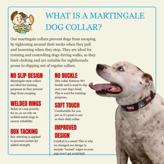 Country Brook Petz HossFit Jr Wide Martingale Dog Collar - Attitude Collection image {3}