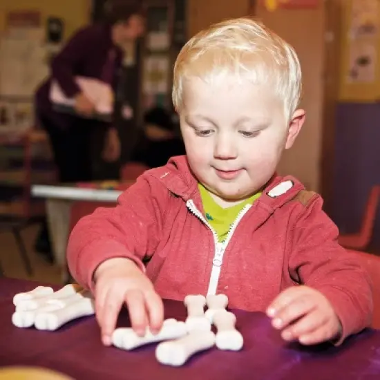 Yellow Door Dinosaur Bones Discovery Set image {3}